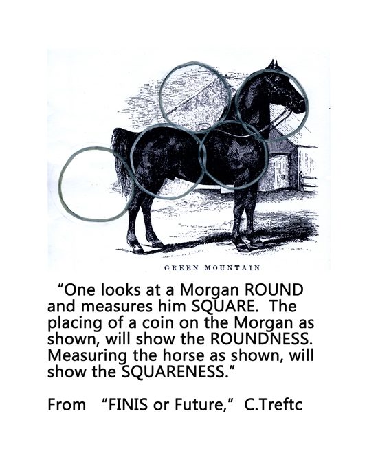 Plate demonstrating roundness and squareness on an engraving of Hale's Green Mountain Morgan